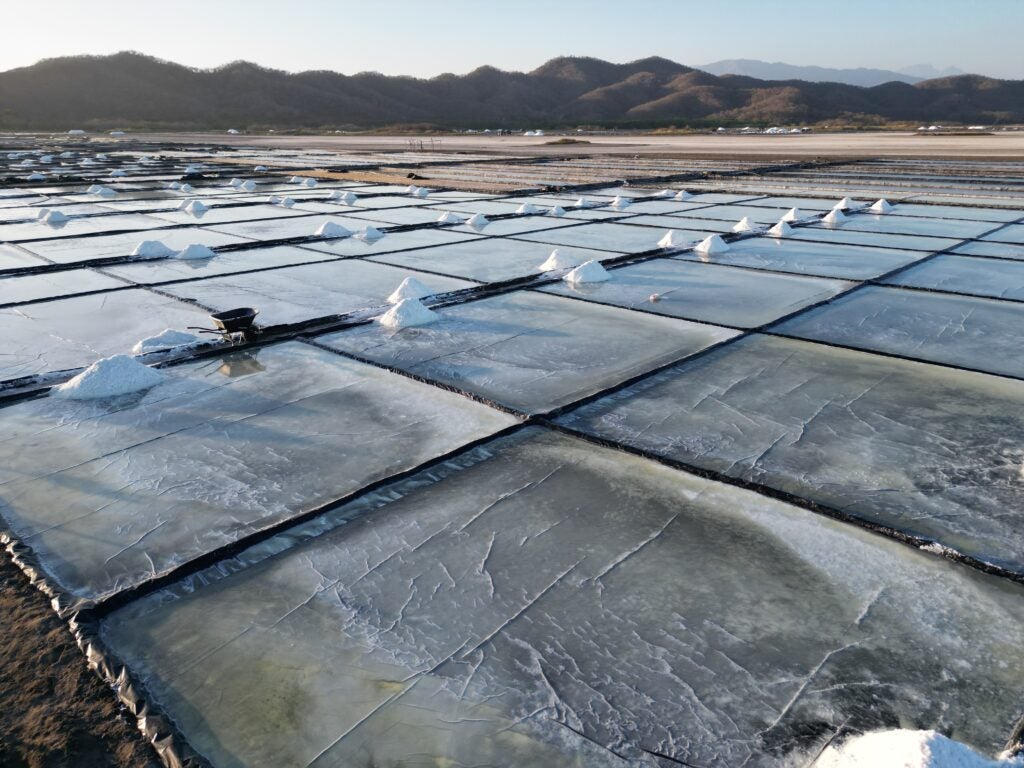 Mexican fleur de sel